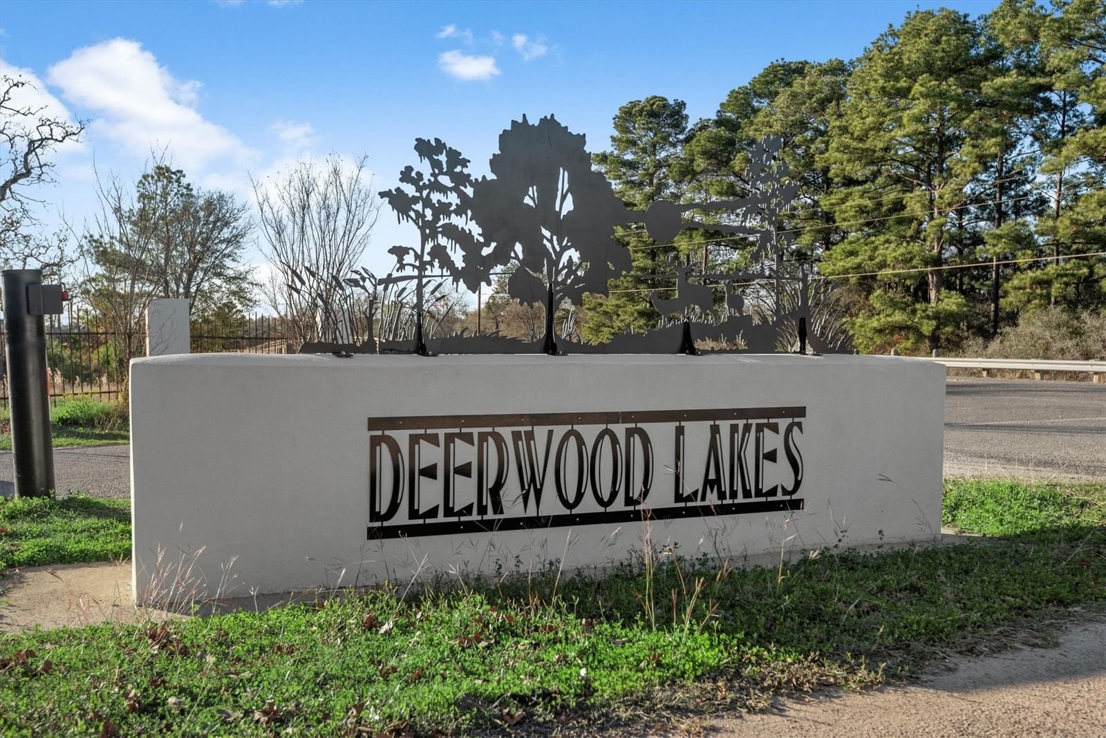 Real estate property located at 0 Deerwood, Waller, Deerwood Lakes, Hempstead, TX, US