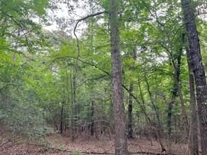 Real estate property located at 0 Utley, Walker, Foxwood, Huntsville, TX, US