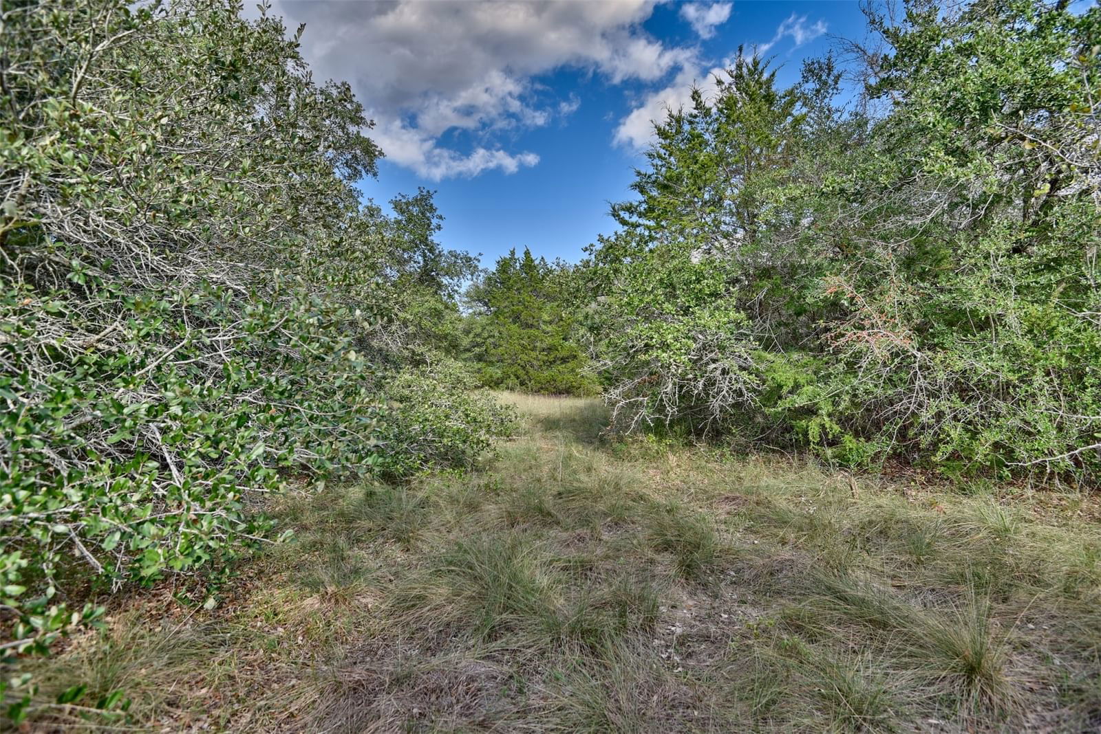 Real estate property located at TBD Palestine Rd TR 2, Washington, S4787 - S4787 - PALESTINE ESTATES, Brenham, TX, US