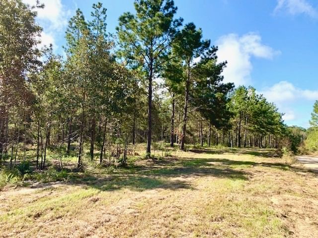 Real estate property located at TBD 38.3+/- AC CR 2310, Tyler, Rural, Woodville, TX, US