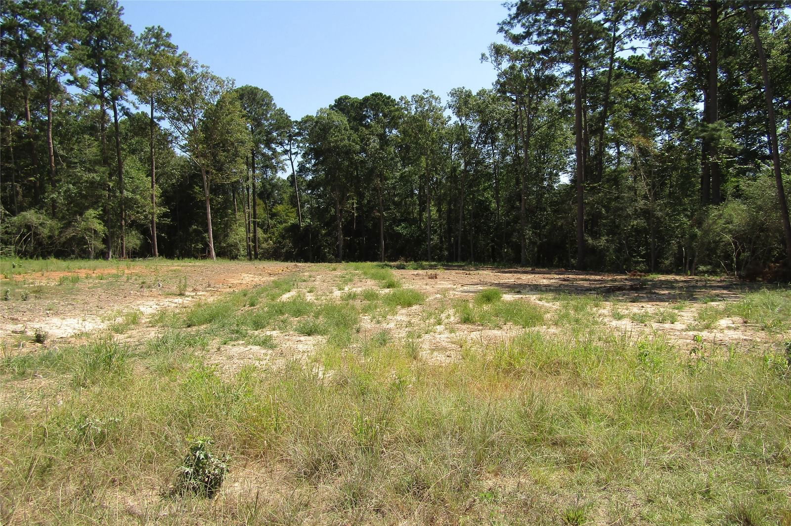 Real estate property located at 466 Wood Haven, Polk, Forest Springs, Livingston, TX, US