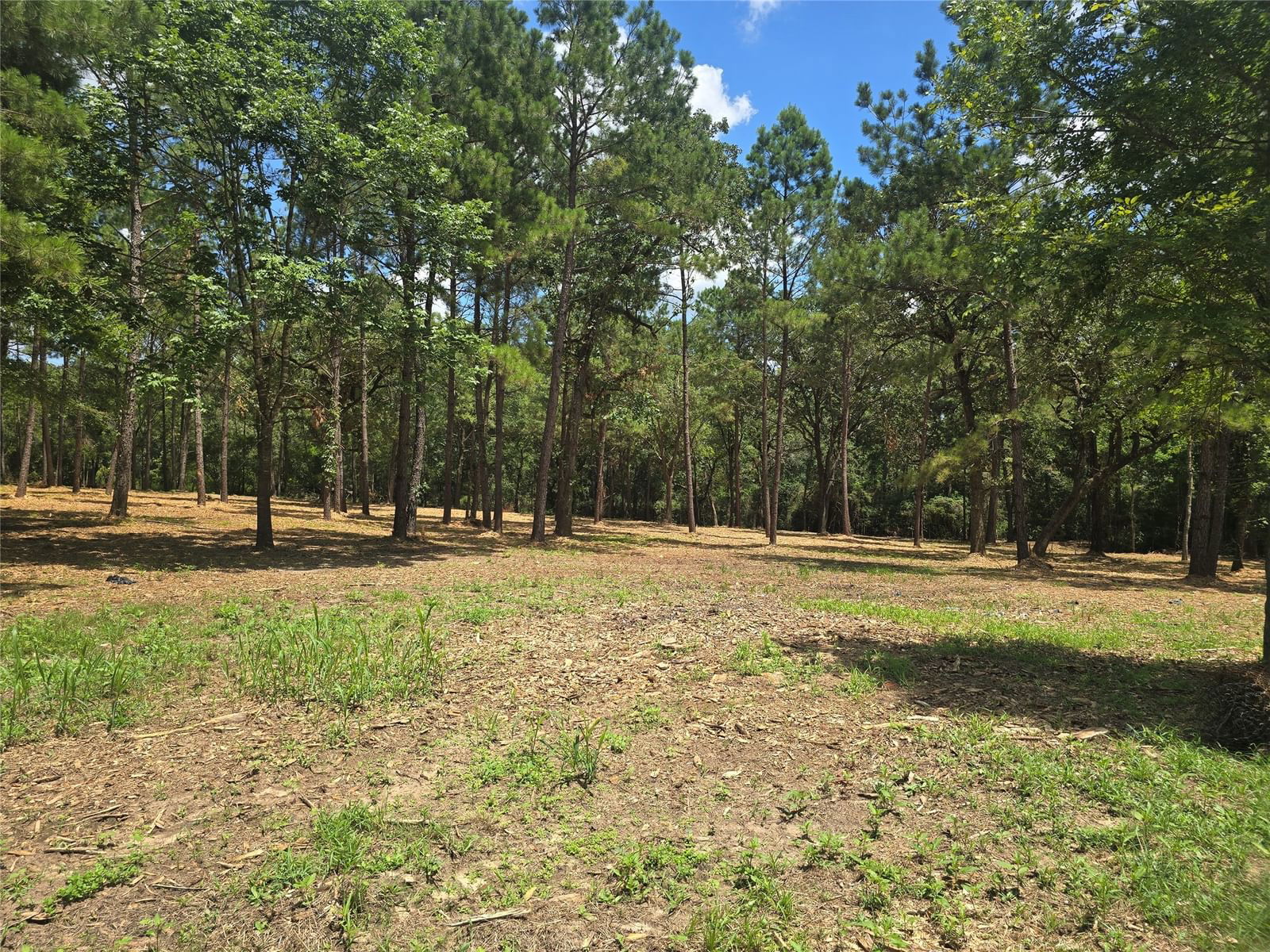 Real estate property located at 14805 Knob Hill, Grimes, W Magnolia Forest, Navasota, TX, US