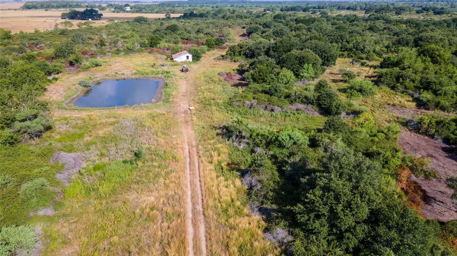 Real estate property located at 00 County Road 317, Wharton, Morris & Cummings Surv #15 Abs, Louise, TX, US
