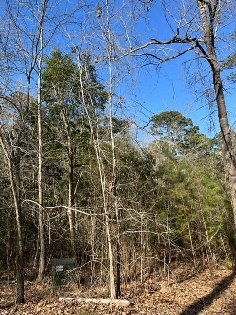 Real estate property located at TBD Whispering Pines, Polk, Kickapoo Forest, Onalaska, TX, US