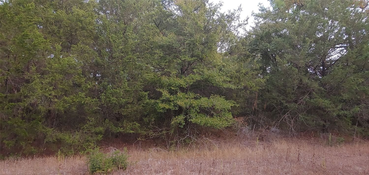 Real estate property located at TBD Deerwood Drive, Waller, Deewood Lakes, Hempstead, TX, US