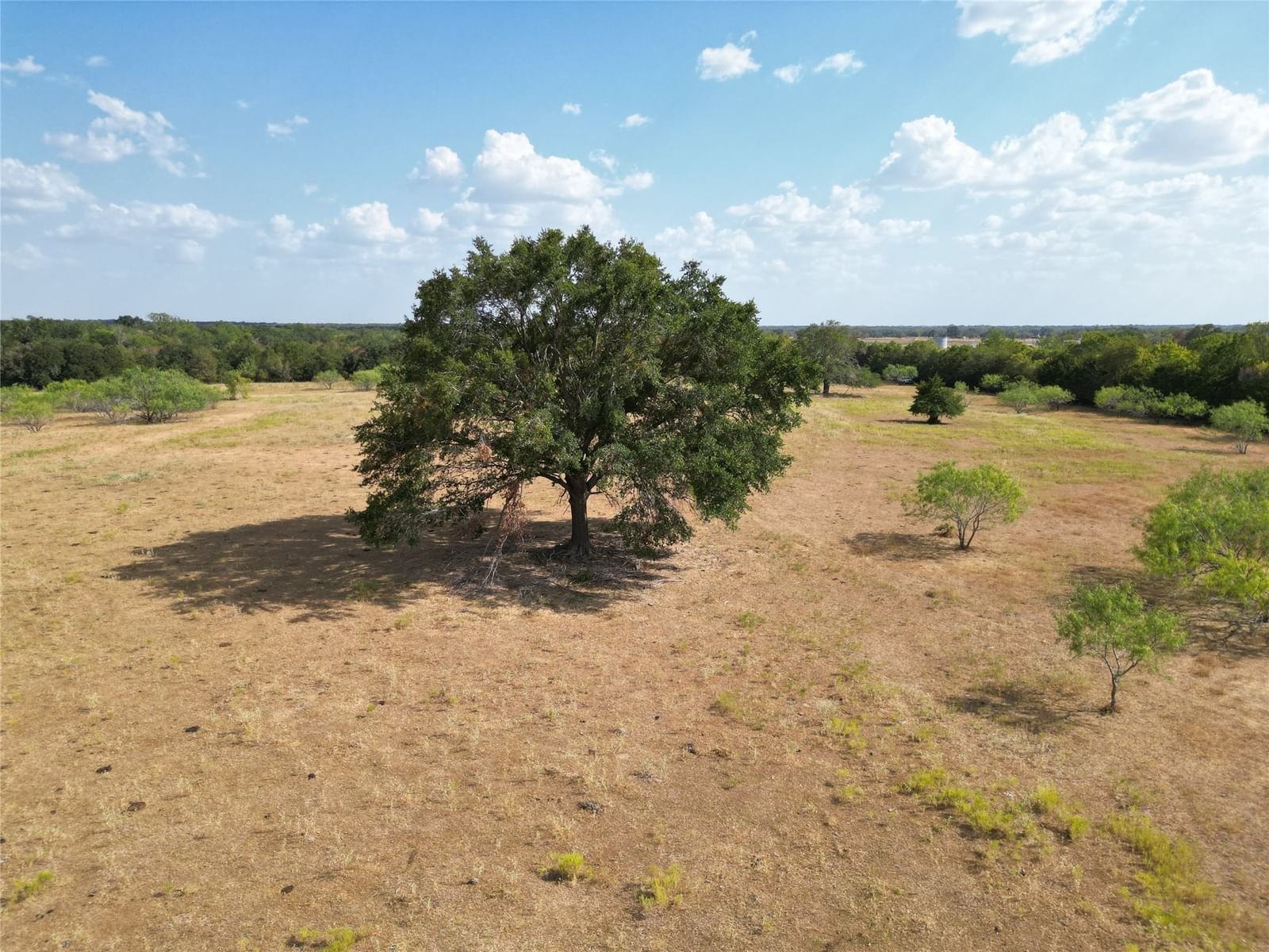 Real estate property located at 0000 FM 849, Freestone, N/A, Teague, TX, US