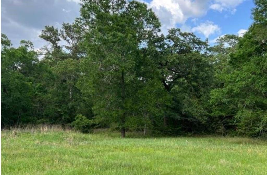 Real estate property located at 10955 (Tract 8 Superior Lane, Montgomery, Thomas J Nichols Surv Abs #397, Magnolia, TX, US