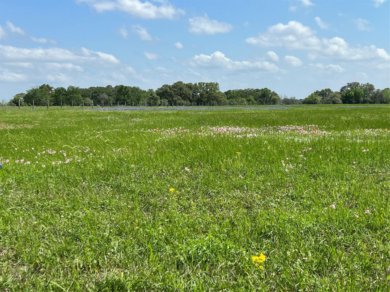 Real estate property located at Tract 1 County Road 235, Lavaca, Hallettsville, TX, US