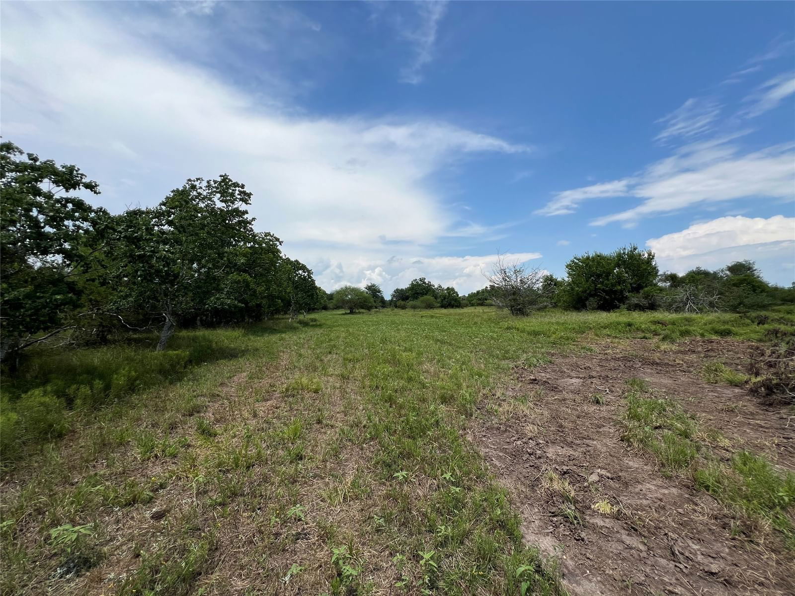 Real estate property located at 6 County Road 25, Brazoria, J A E PHELPS, Damon, TX, US