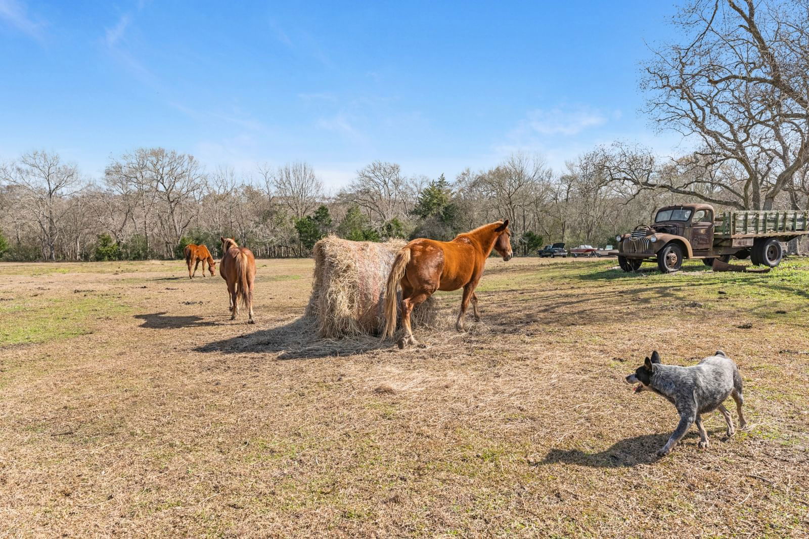 Real estate property located at 13236 Fm 1409, Chambers, Wiseman, Old River-Winfree, TX, US