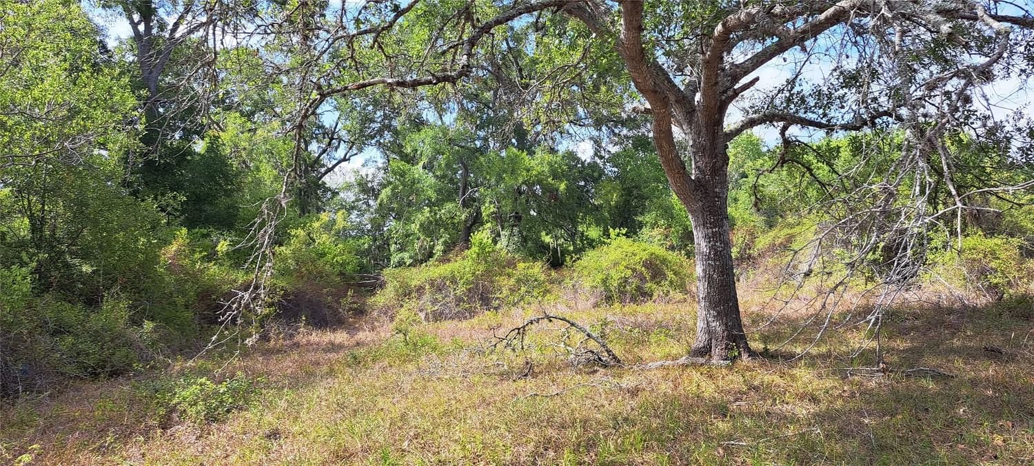 Real estate property located at 0 County Road 284, Jackson, A5014 Clay, Edna, TX, US