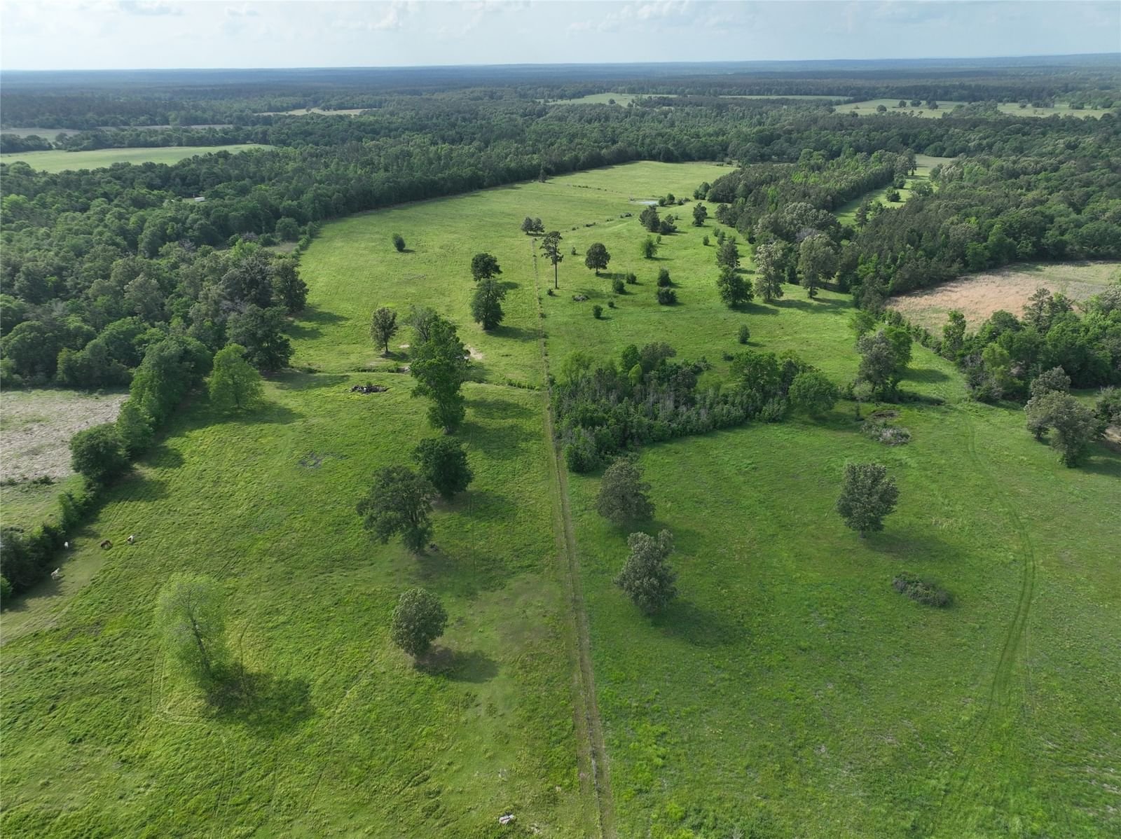 Real estate property located at TBD Neal Helton Rd, Trinity, No, Kennard, TX, US