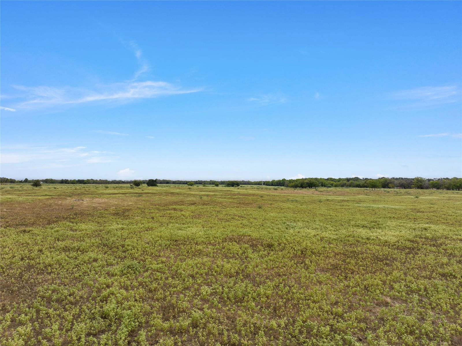 Real estate property located at TBD FM 339, Limestone, Gentry, Kosse, TX, US