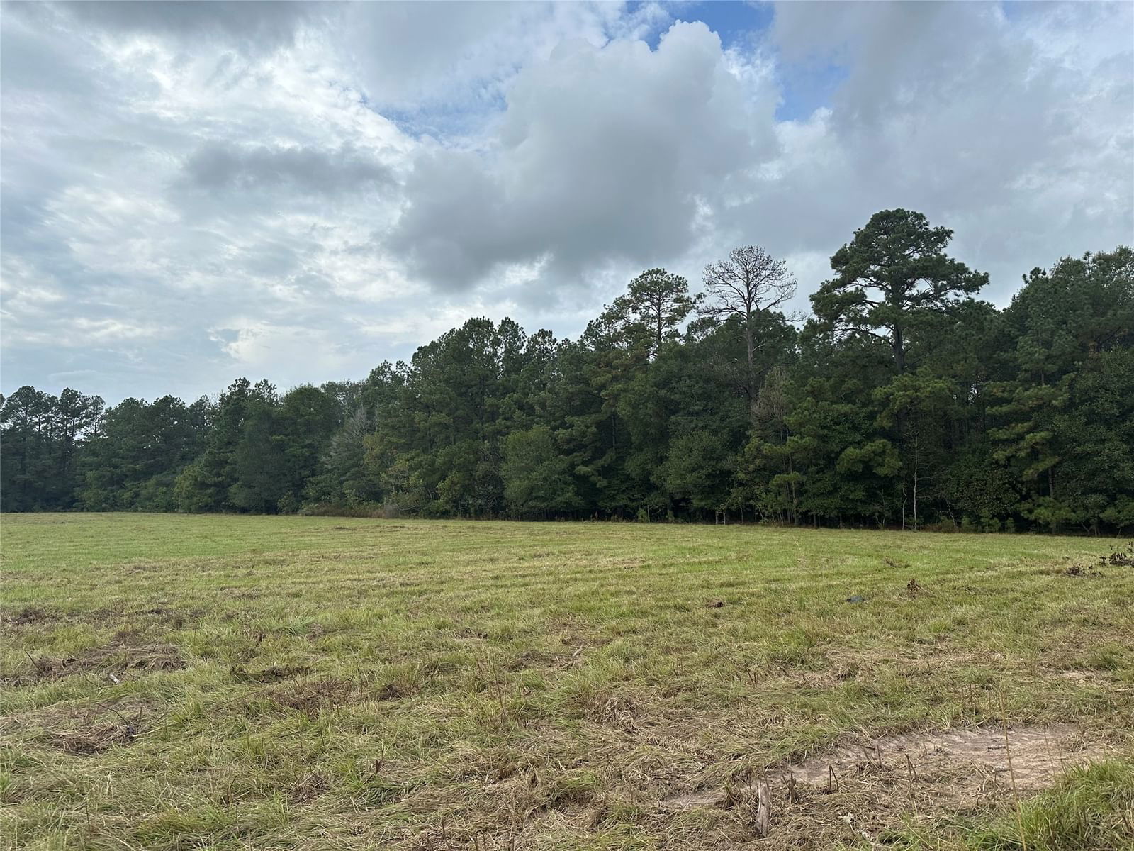 Real estate property located at TBD TBD County Road 3114, Newton, NA, Buna, TX, US