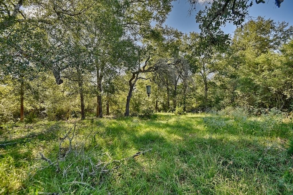 Real estate property located at TBD County Road 134, Lavaca, NA, Hallettsville, TX, US