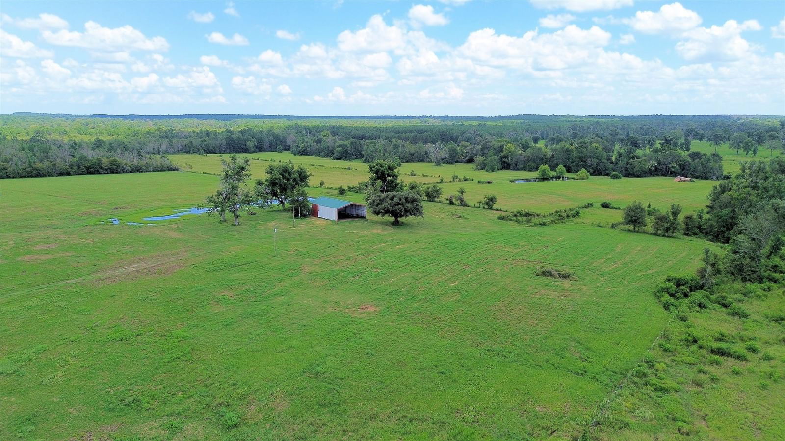 Real estate property located at 850 Due 2, Trinity, Thomas, Tract 10, Apple Springs, TX, US