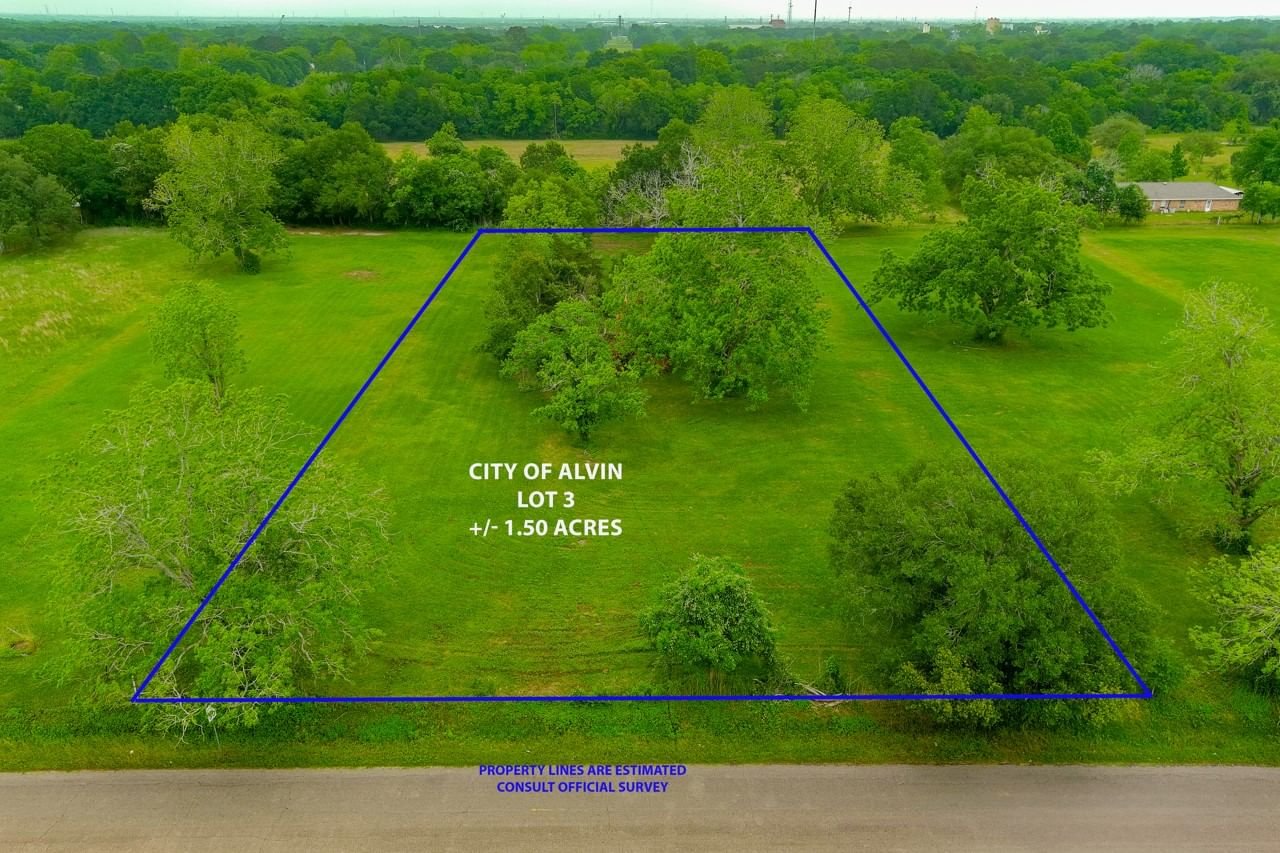 Real estate property located at LOT 3 - 2386 Mamie Ford, Brazoria, Reed Ranch Estates, Alvin, TX, US