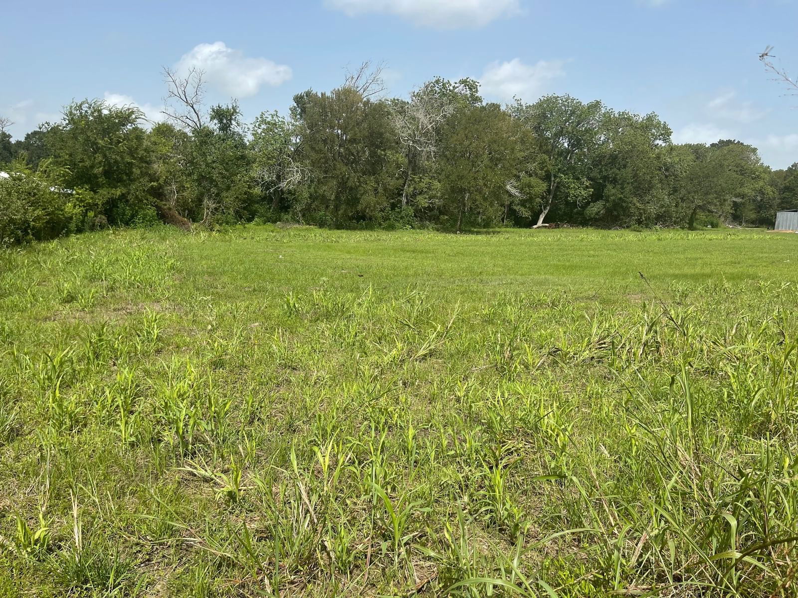 Real estate property located at 10098 County Road 341, Grimes, Whitehall Country Ests, Plantersville, TX, US