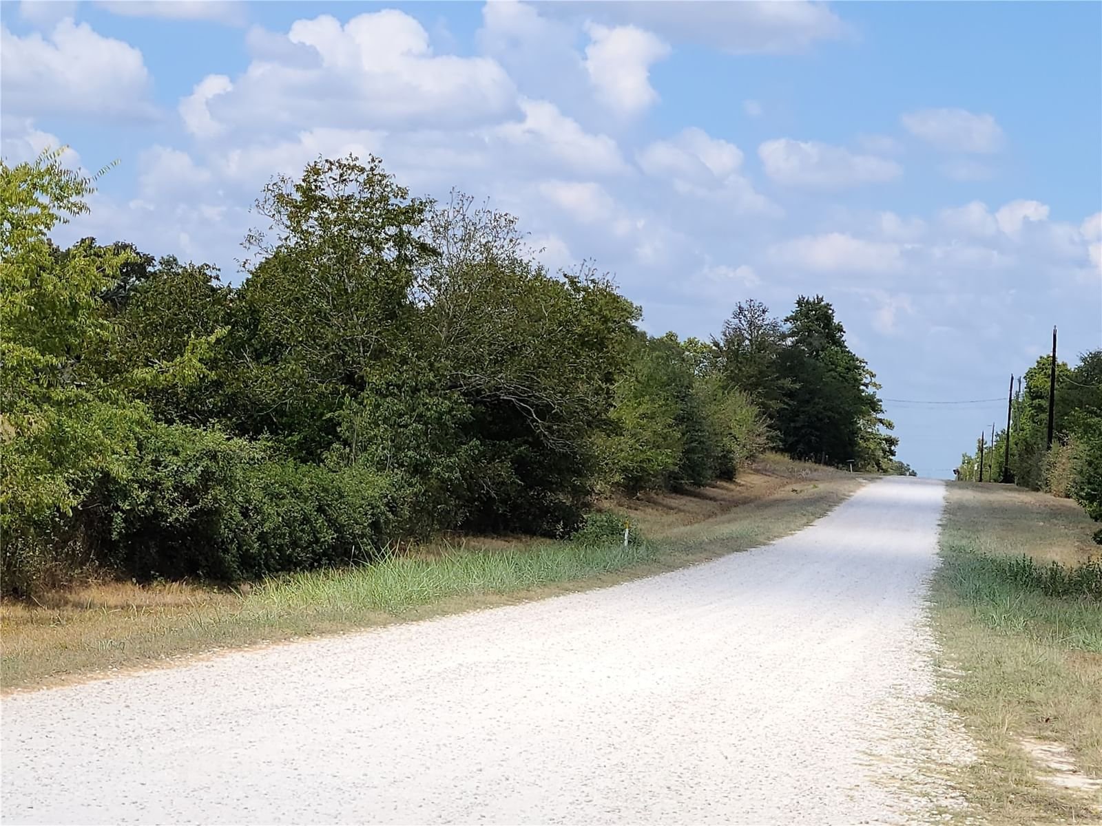 Real estate property located at TBD Willey, Walker, None, Bedias, TX, US
