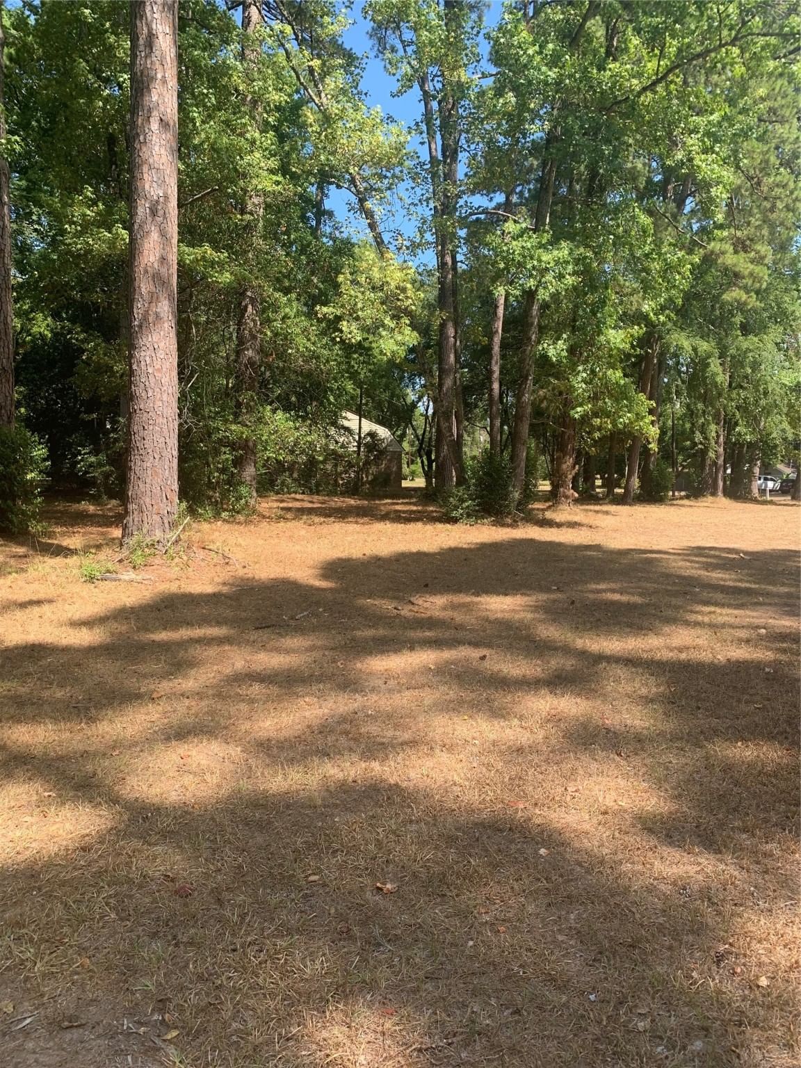 Real estate property located at TBD 1314 Chain, Polk, Pinwah Pine, Livingston, TX, US