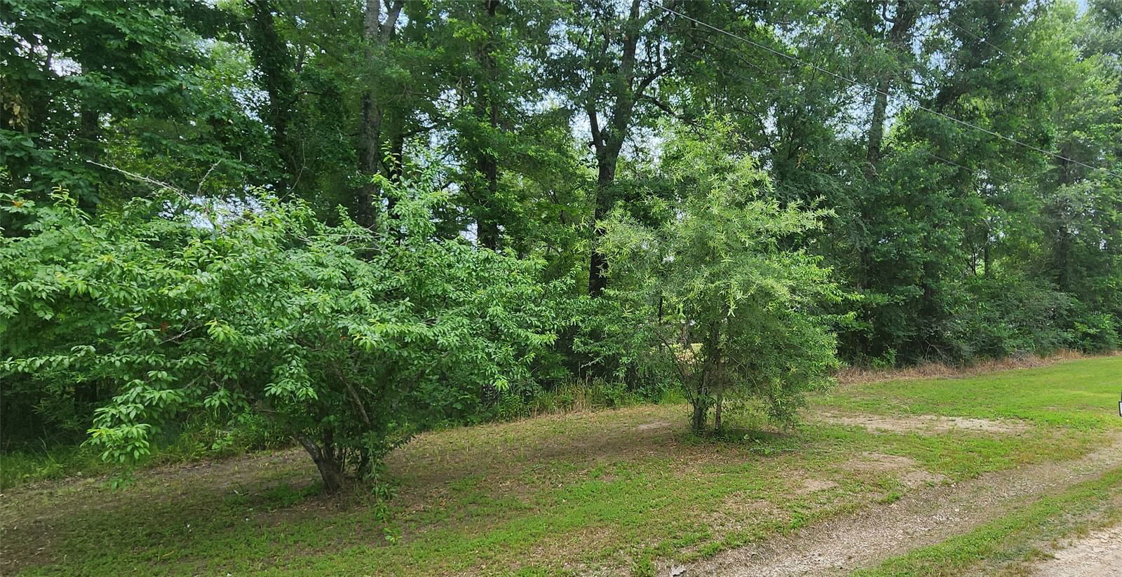 Real estate property located at 000 Julia Belle, Polk, Reileys Landing, Livingston, TX, US