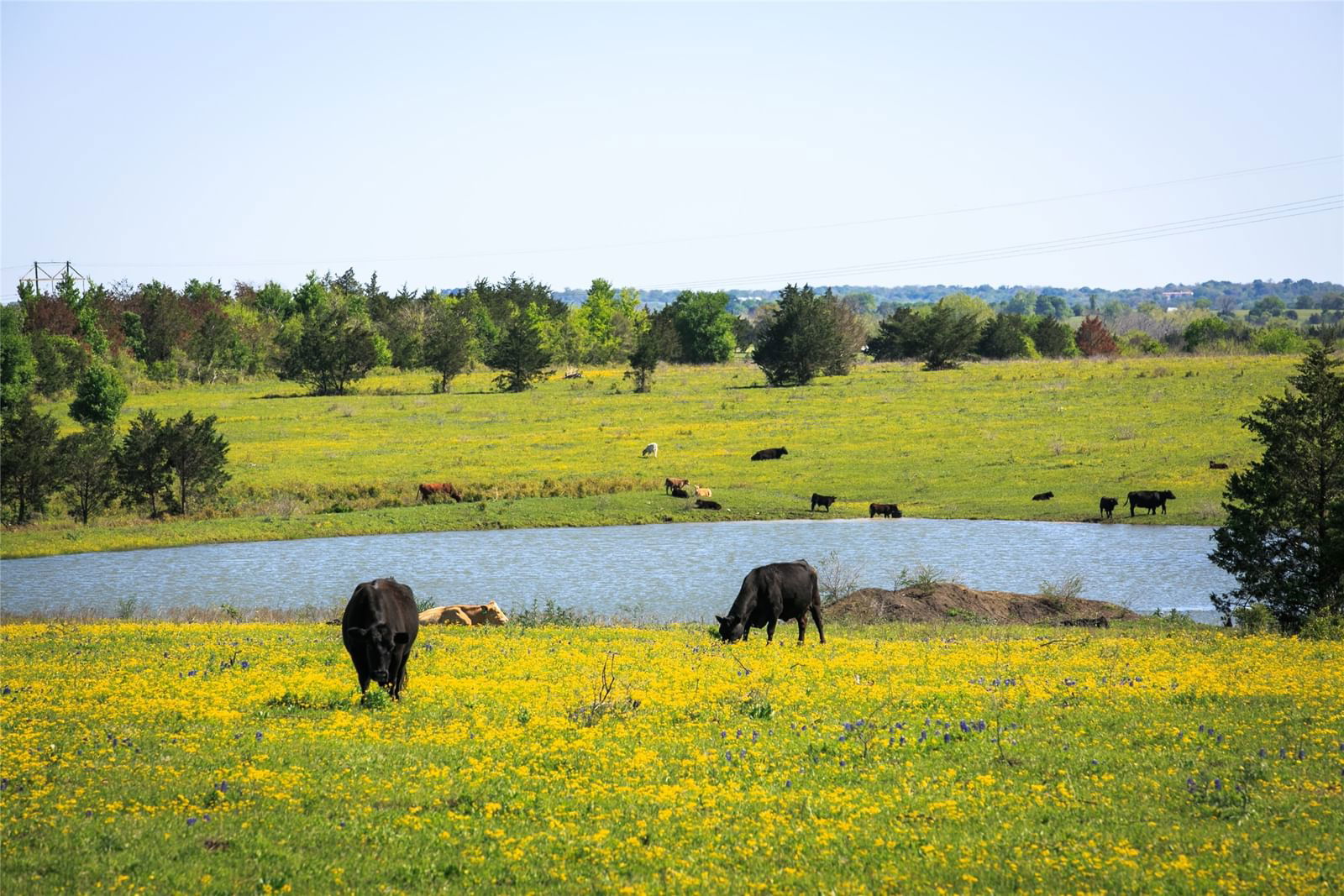 Real estate property located at TRACT 2 Chadwick Hogan Rd, Washington, CANEYCREEK, Chappell Hill, TX, US