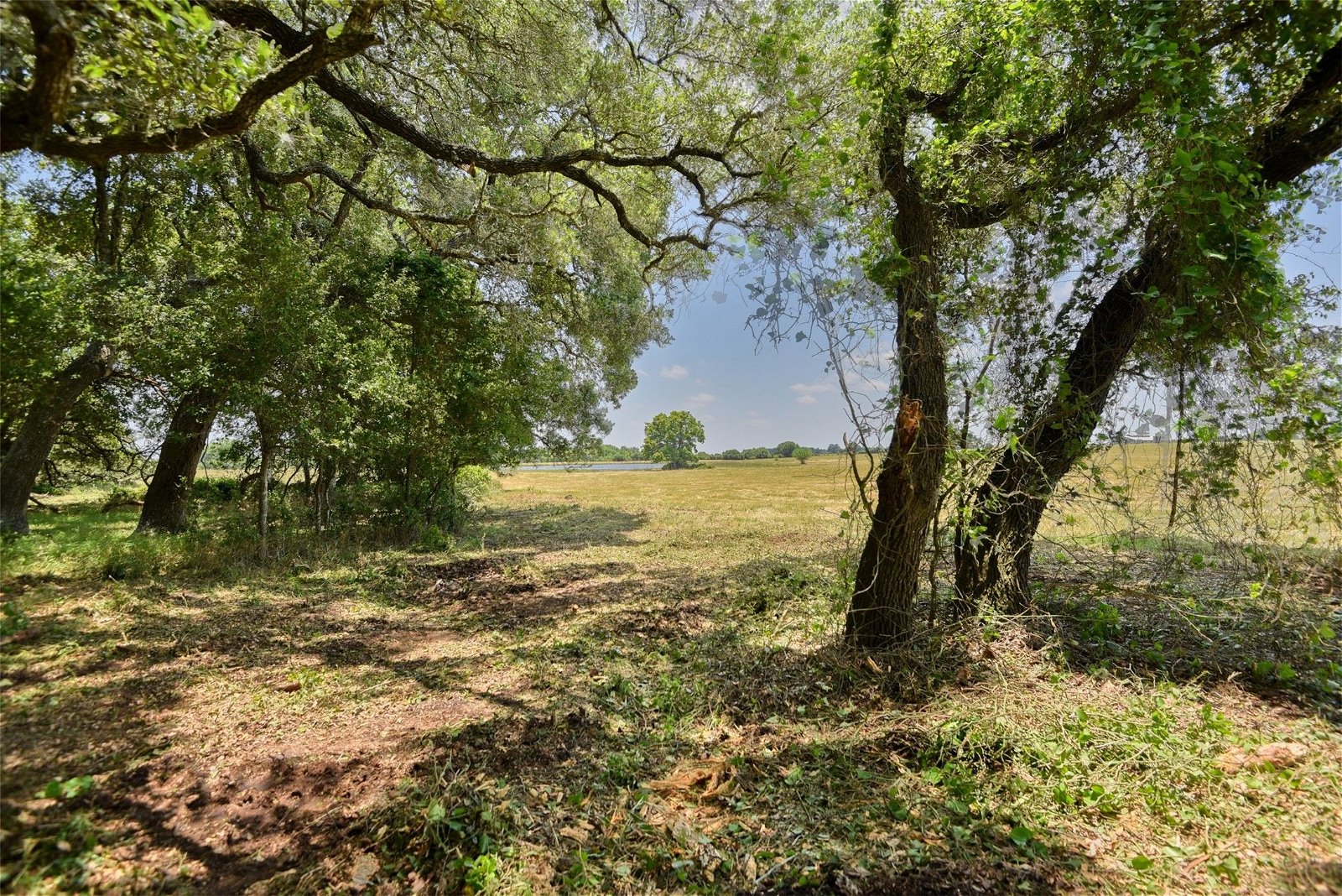 Real estate property located at TBD Hartfield Tract 7 Rd, Fayette, The Heart Field at Round Top, Round Top, TX, US