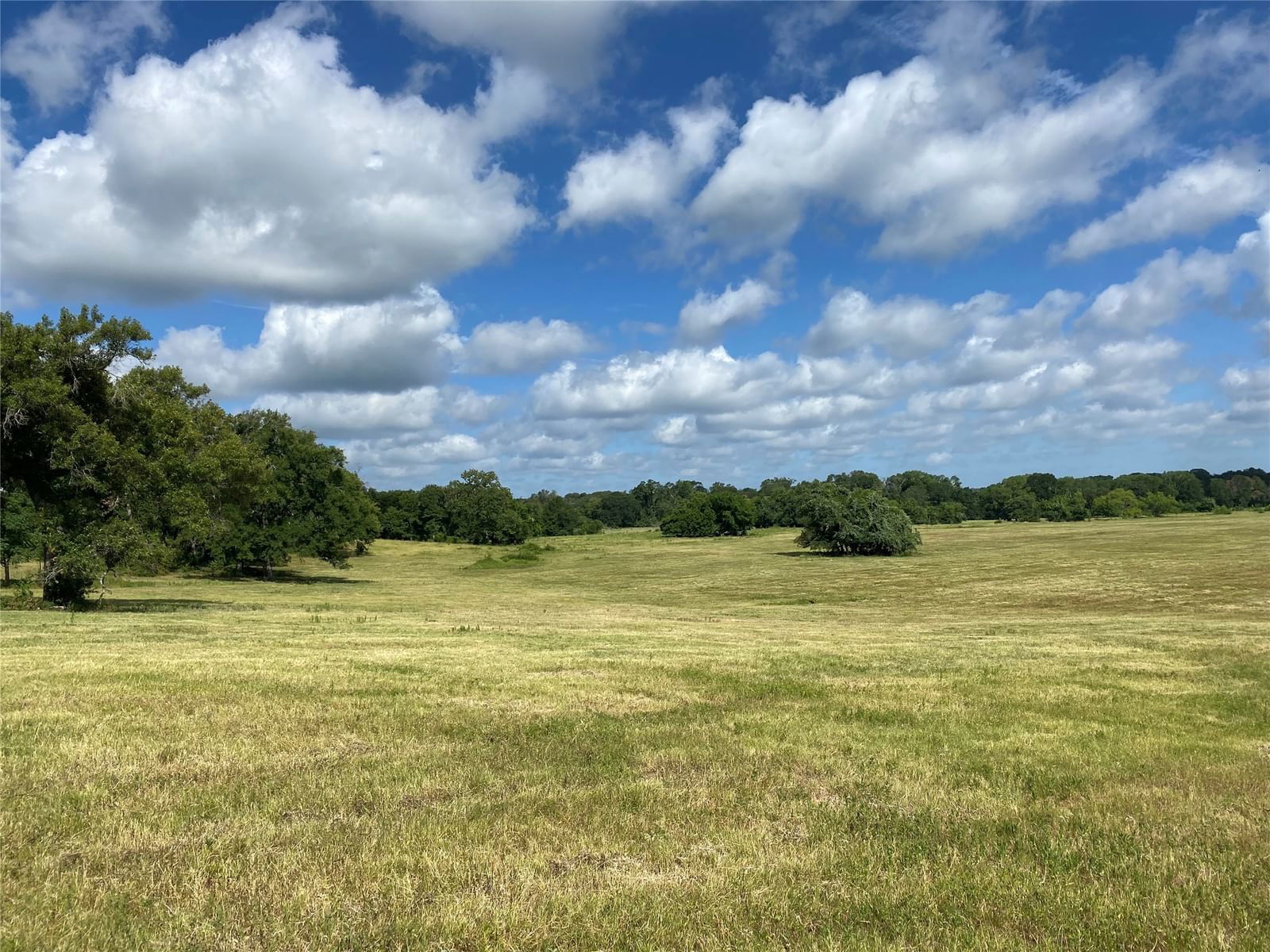 Real estate property located at 98.88 +/- Acres W Side of I-45, Leon, NONE, Centerville, TX, US