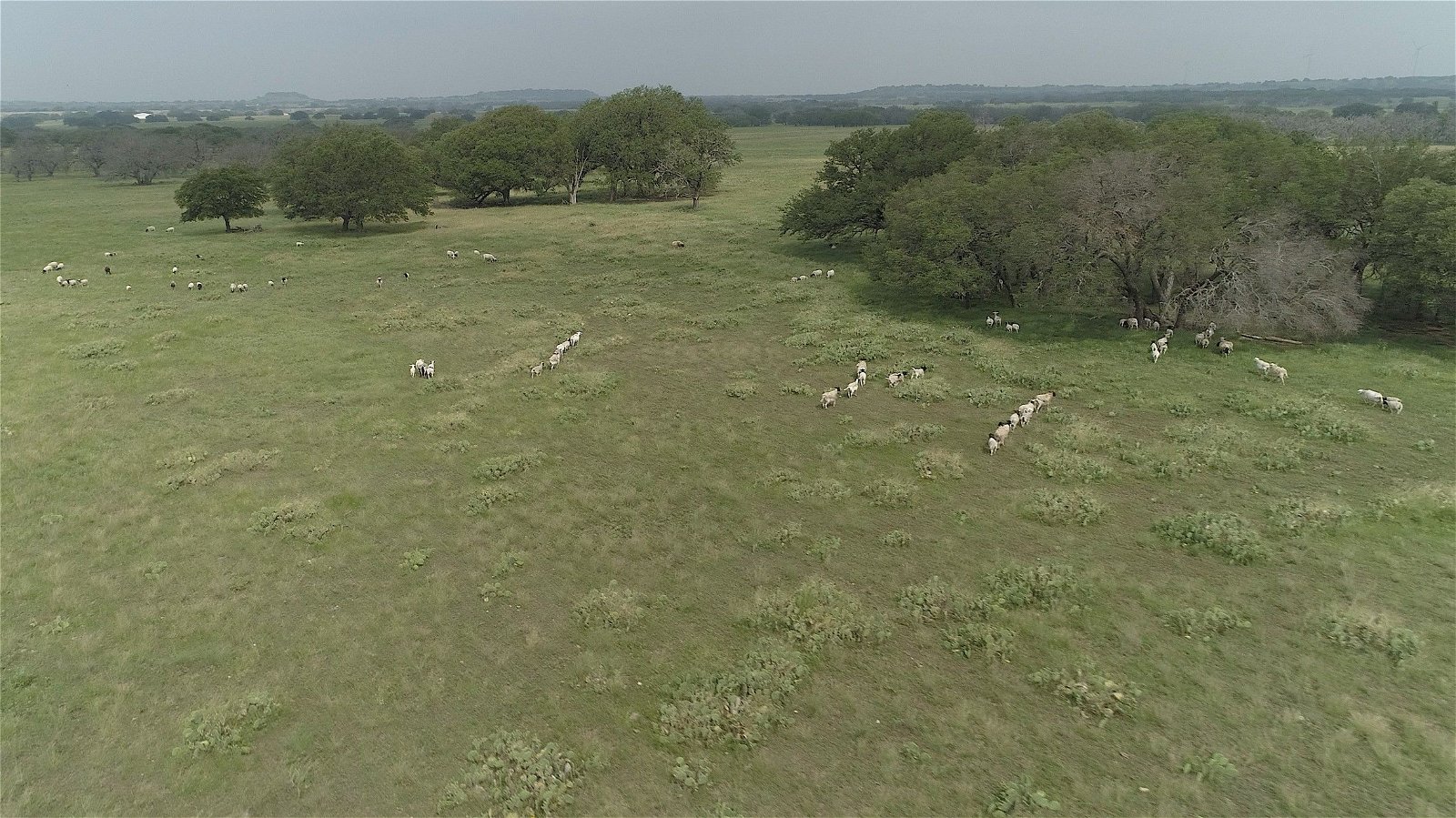 Real estate property located at tbd County Road 130, Mills, na, Goldthwaite, TX, US