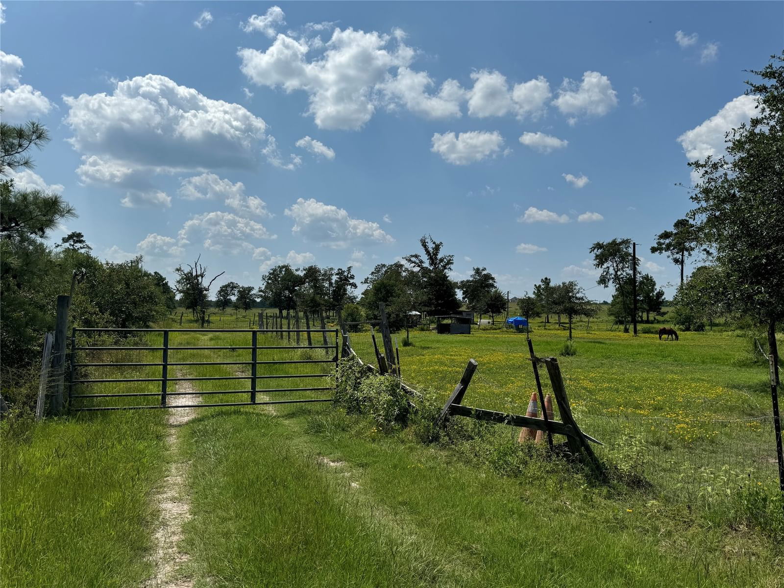 Real estate property located at 202 Dickey, Walker, O'Bannon, Bedias, TX, US