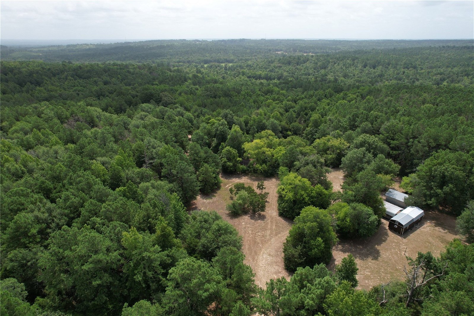 Real estate property located at 480 An County Road 1220, Anderson, NONE, Grapeland, TX, US
