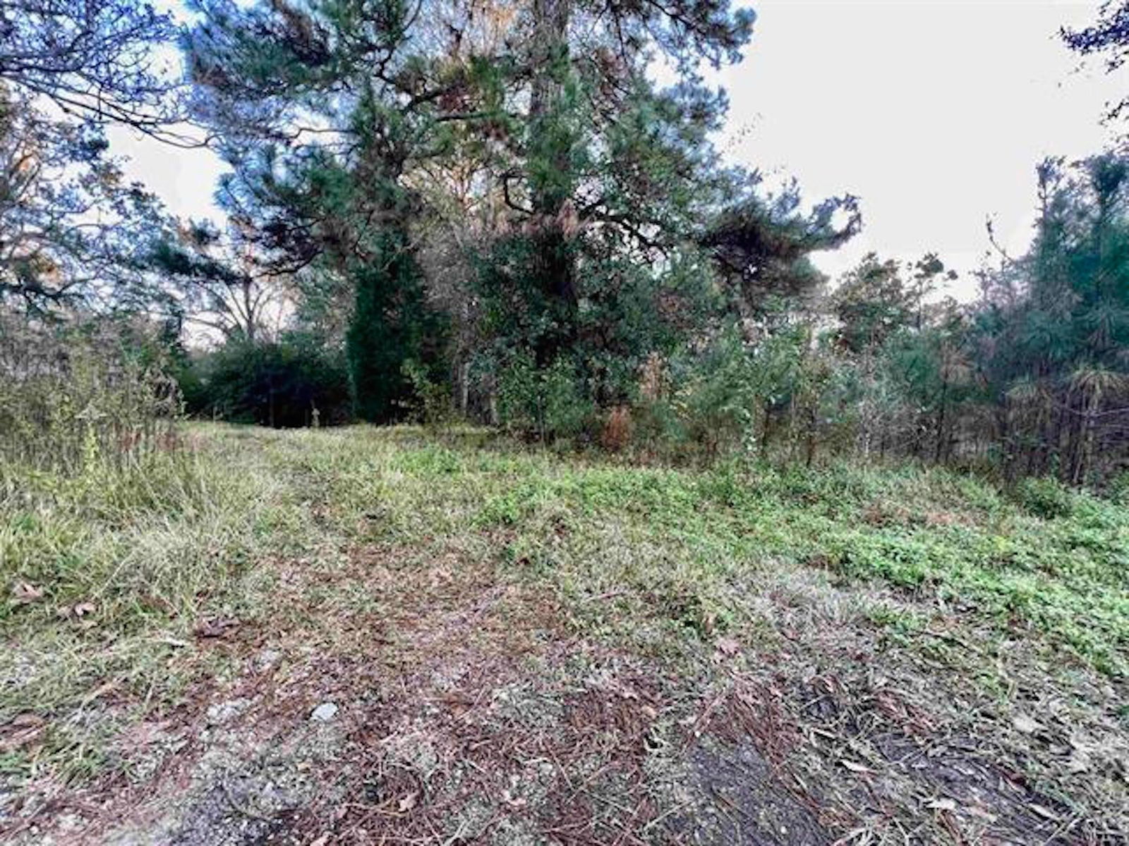 Real estate property located at 1330 Operators Lane, Orange, Vidor, TX, US