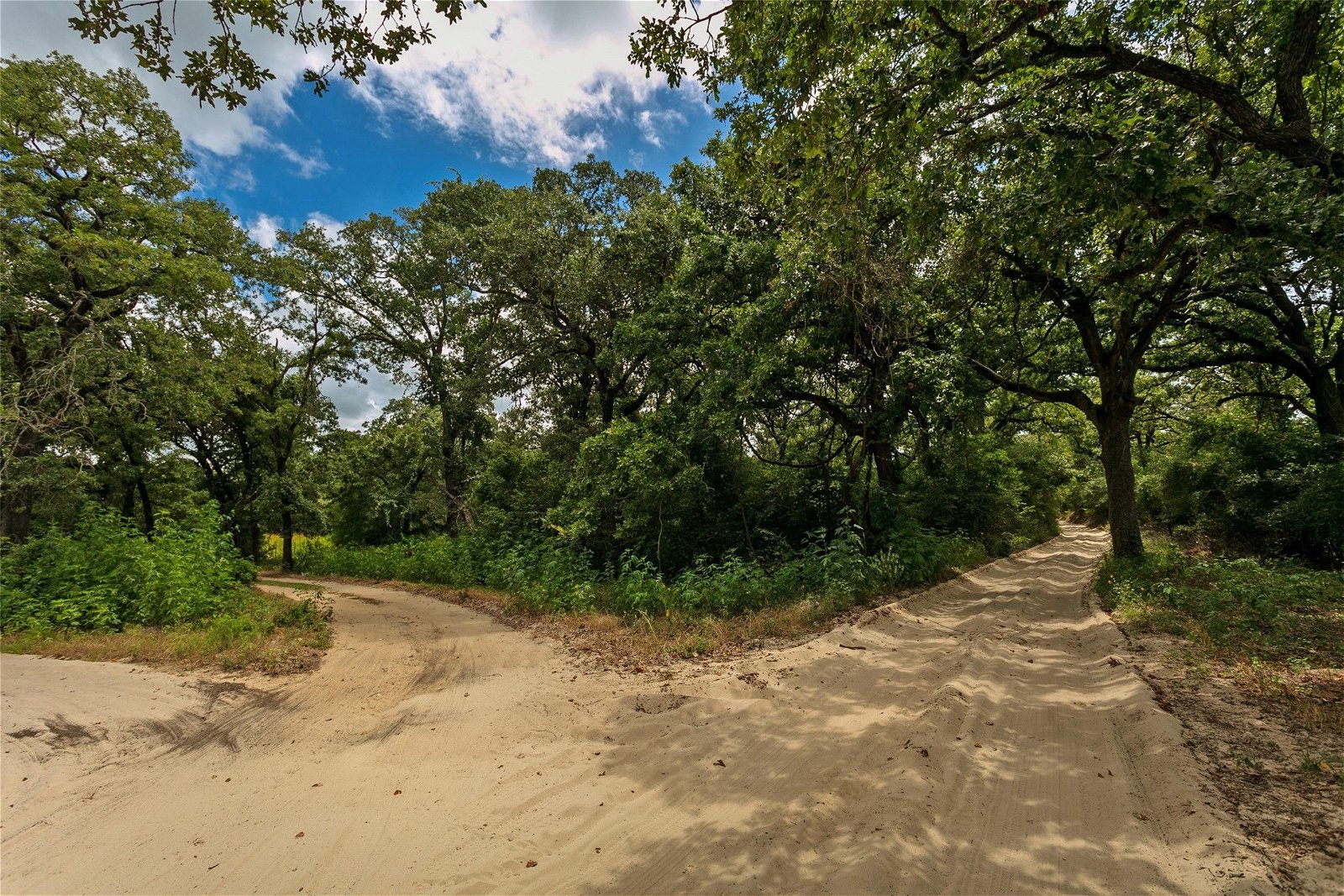 Real estate property located at 145 Private Road 6070, Milam, Lewis, Cameron, TX, US
