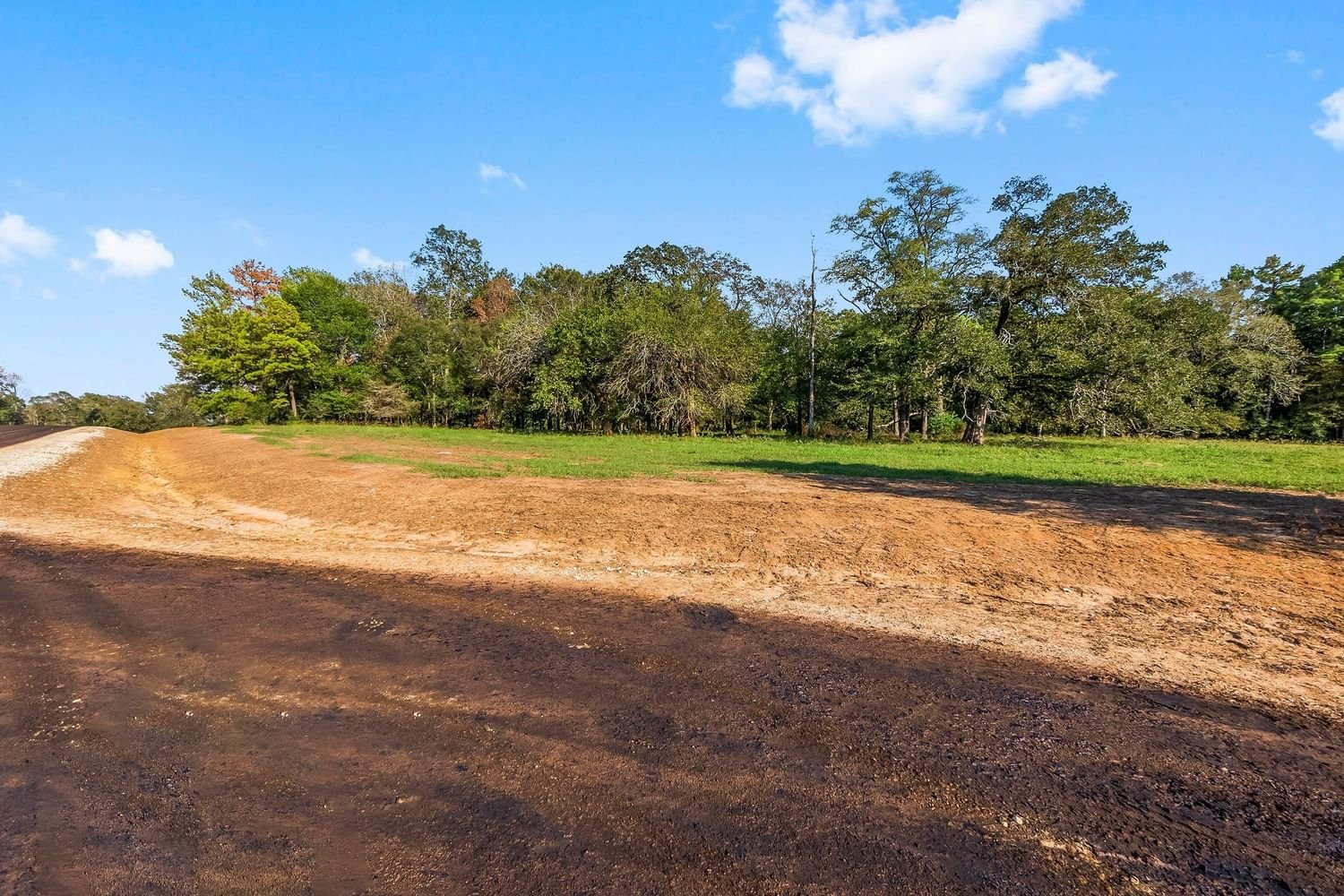 Real estate property located at Lot 10 Alans Memorial Lane, Montgomery, The Oak Reserve of Anderson Mize, New Waverly, TX, US