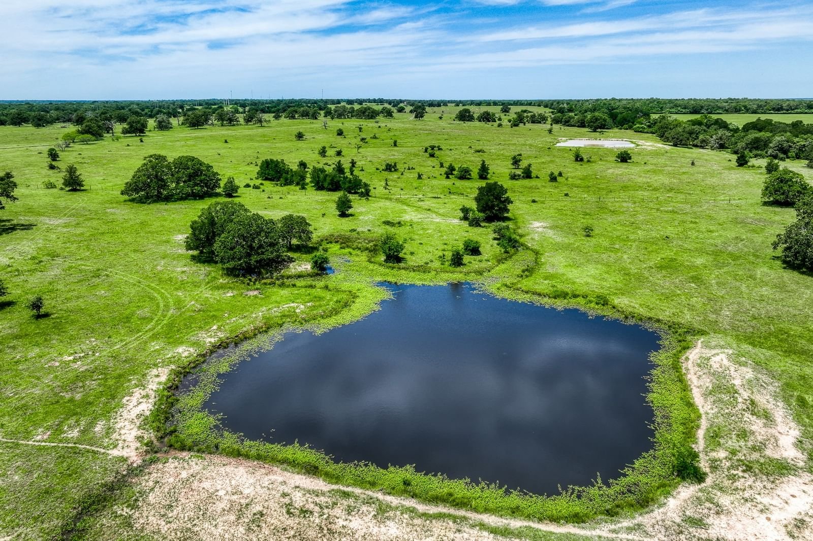 Real estate property located at TBD(+/- 80 acre County Road 423, Burleson, other, Somerville, TX, US