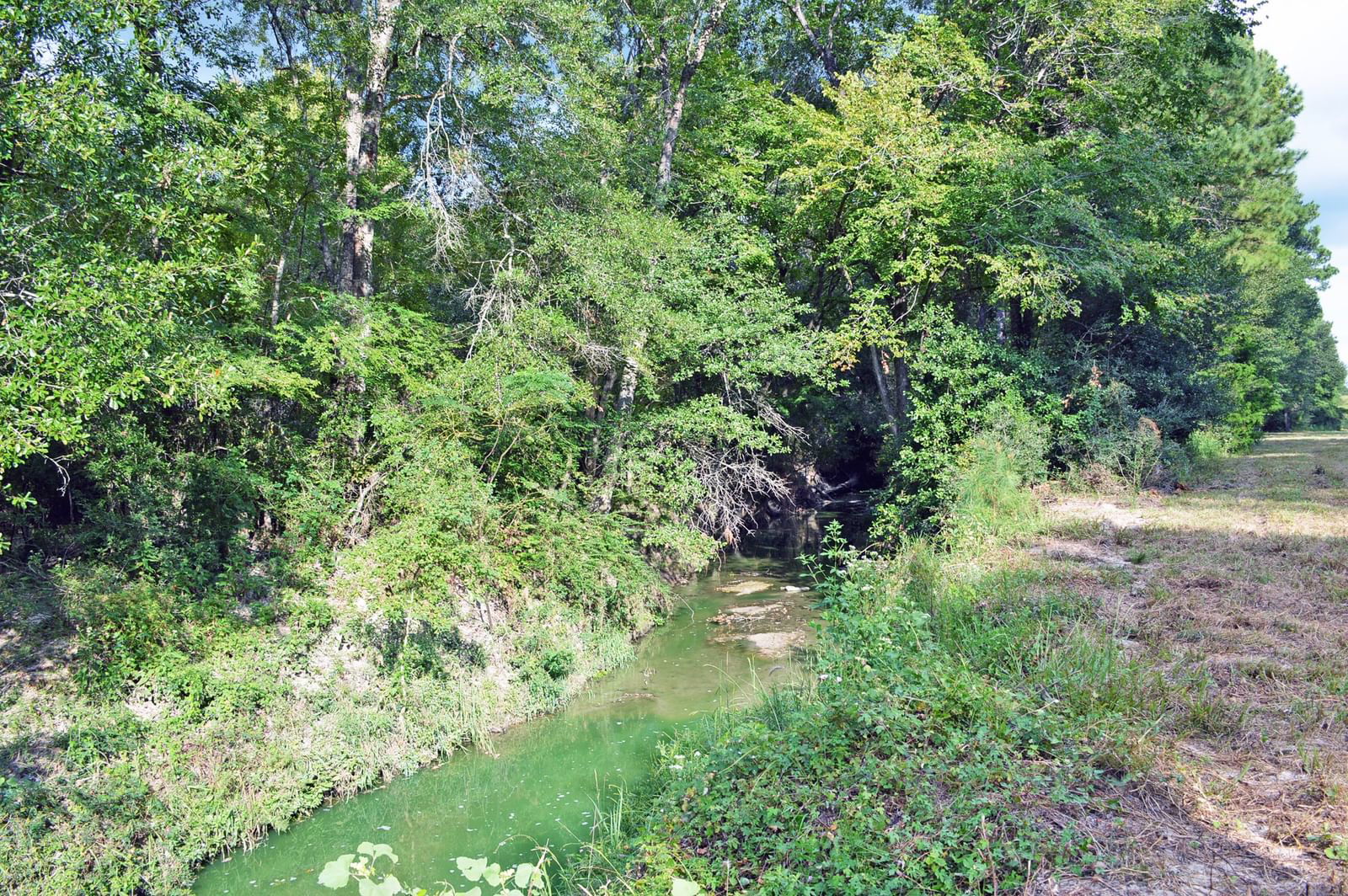 Real estate property located at Tract 3 Deer Ridge Road, Grimes, Sulpher Creek, Bedias, TX, US