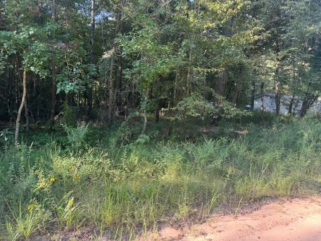 Real estate property located at 0 L C Herschap, Polk, Big Thicket Lake Estates Secti, Livingston, TX, US