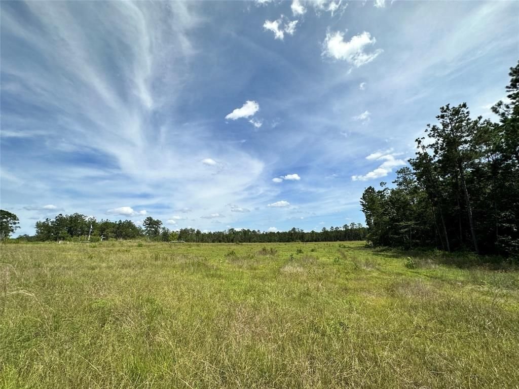 Real estate property located at TBD Cr 3000, Tyler, Doucette, TX, US