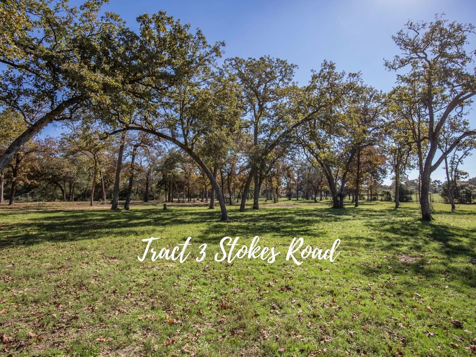 Real estate property located at TBD 3 Stokes Road, Austin, N/A, Bellville, TX, US