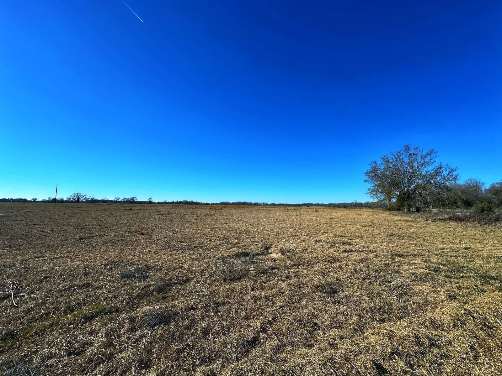 Real estate property located at Tract 2 CR 231, Leon, Haley Creek Farms, Centerville, TX, US