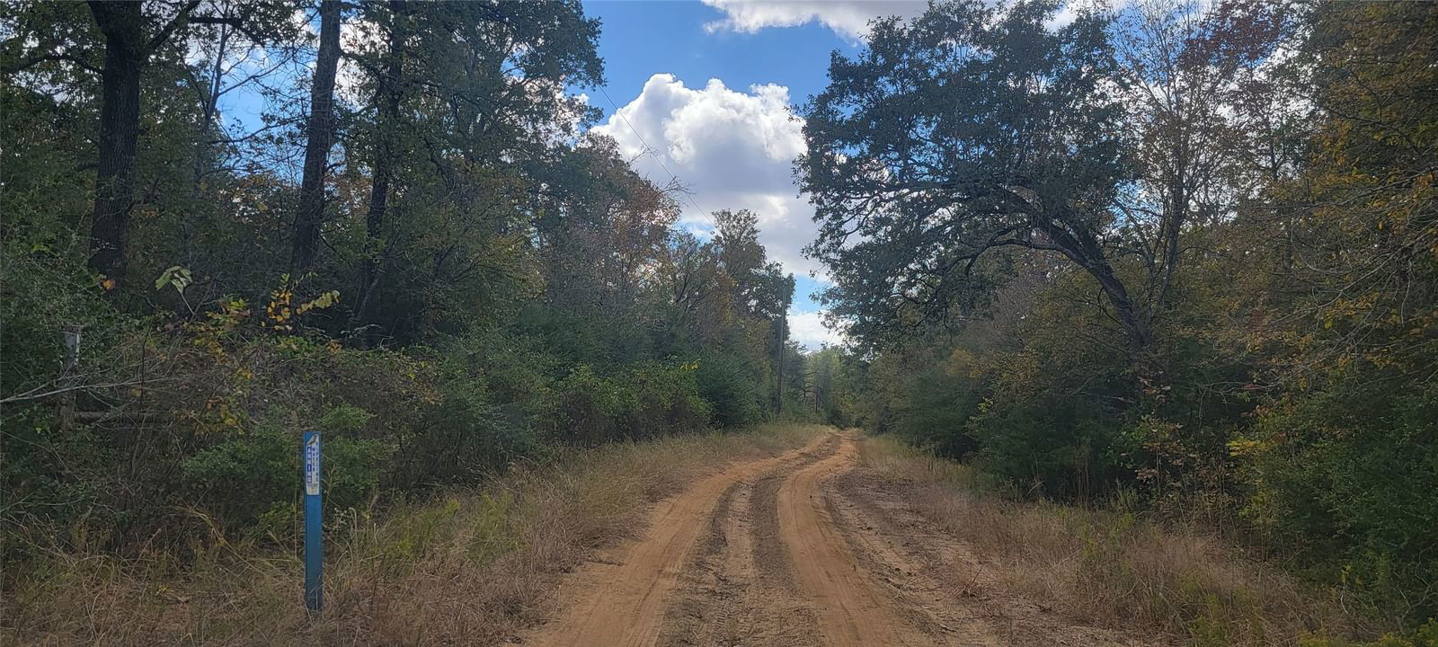 Real estate property located at 22.37AC. Pr 1100, Leon, Red Oak Estate, Leona, TX, US