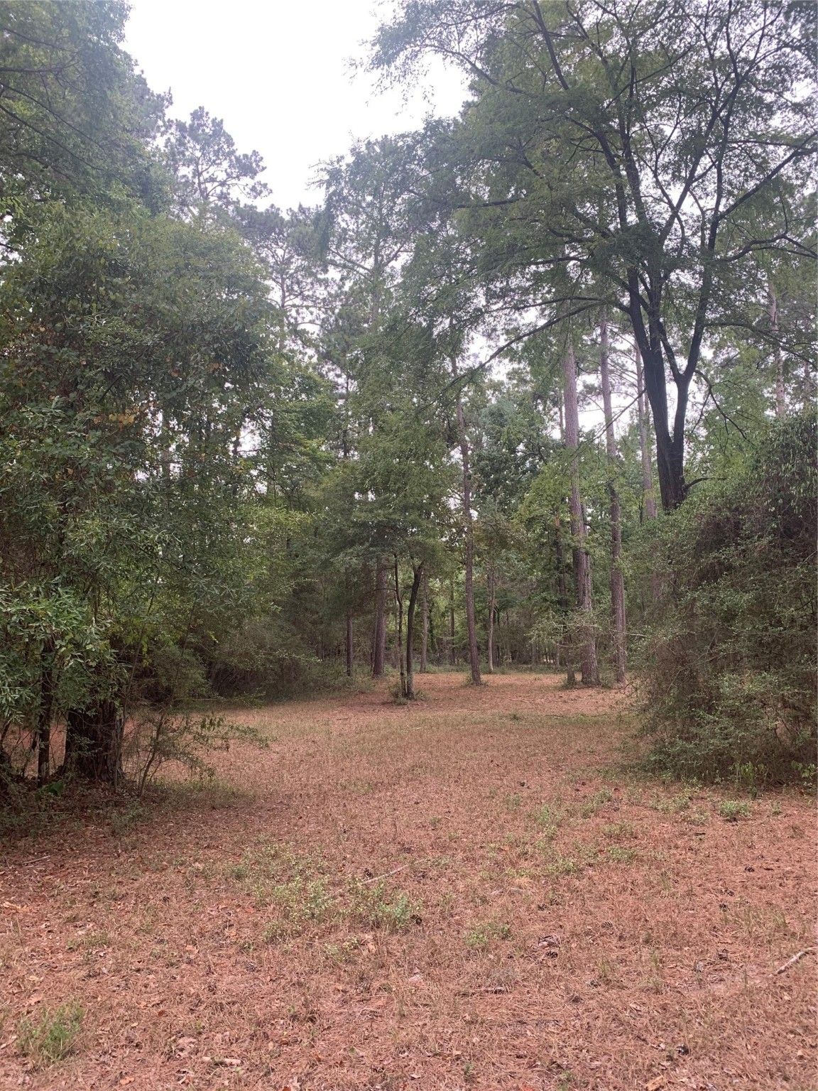 Real estate property located at TBD Oak Pine, Polk, Pinwah Pine Estates II, Livingston, TX, US