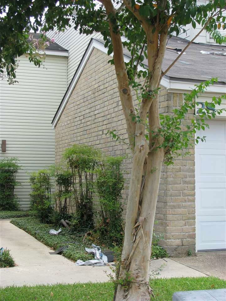Real estate property located at 1212 Major #25, Jefferson, westpark townhomes, Beaumont, TX, US