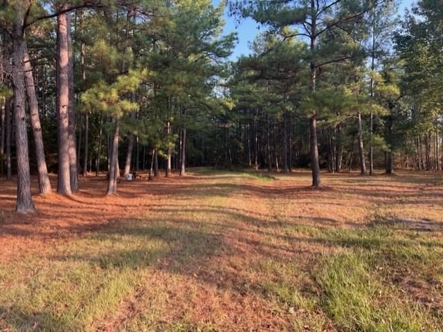 Real estate property located at TBD Farm Road 350 Off, Polk, Livingston, TX, US