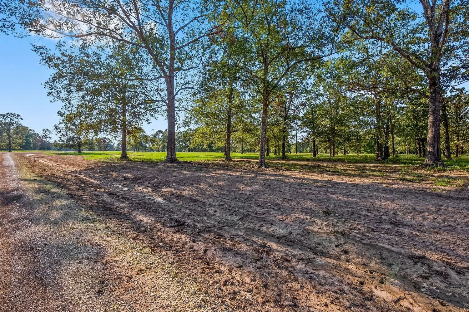Real estate property located at Lot 5 Alans Memorial Lane, Montgomery, The Oak Reserve of Anderson Mize, New Waverly, TX, US