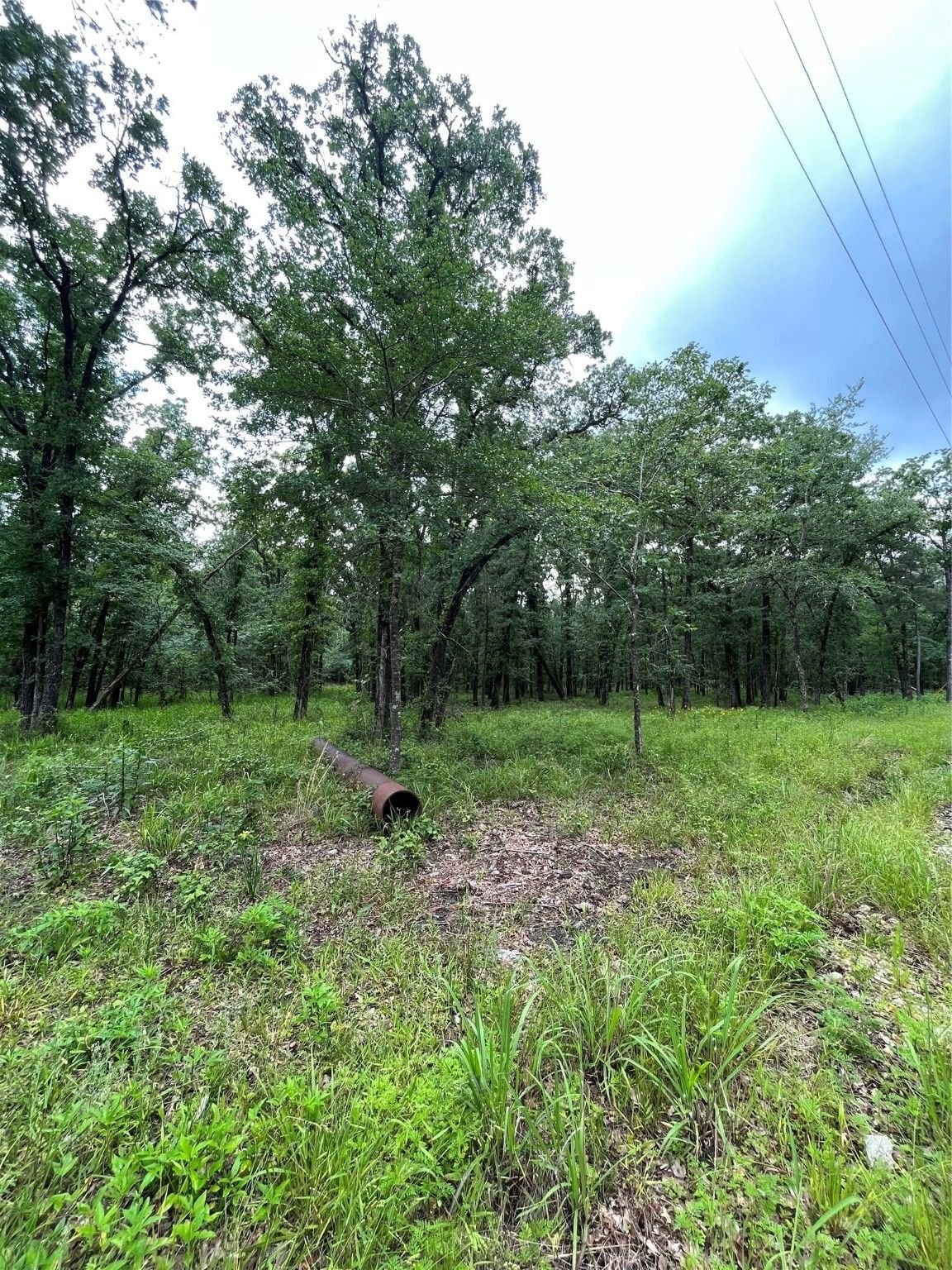 Real estate property located at 11ac Birdwell, Walker, Bedias, TX, US