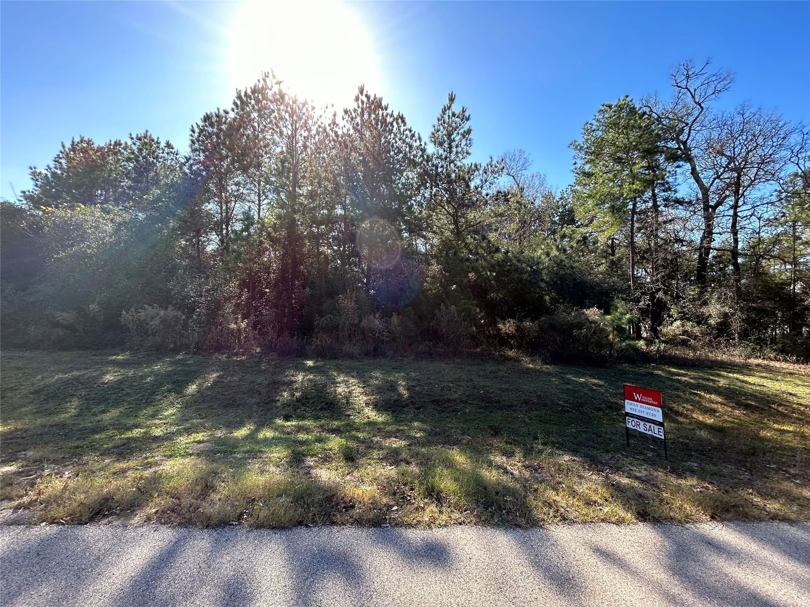 Real estate property located at 11502 Kate, Grimes, Crown Ranch Sec 6, Montgomery, TX, US
