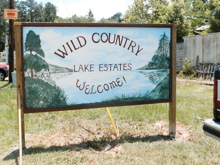 Real estate property located at 389 Sally Mayes, Polk, Wild Country Lakes Estates Sec, Livingston, TX, US