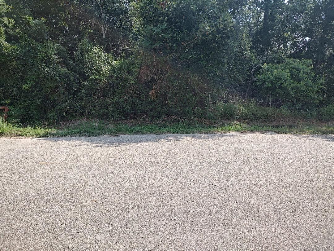 Real estate property located at Lot 1 Deepwood, Galveston, Clear Creek Woods, Friendswood, TX, US