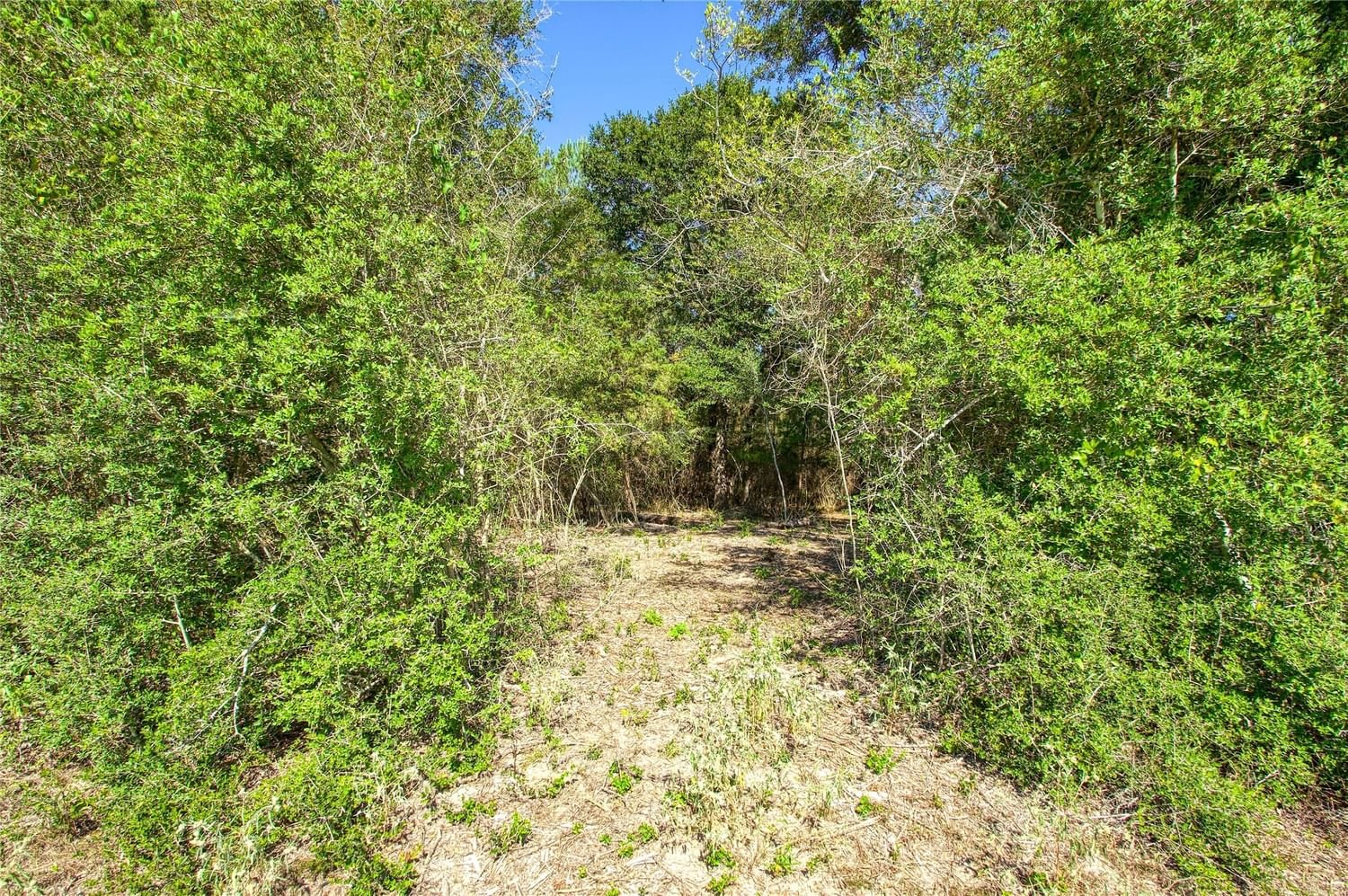 Real estate property located at 00 County Rd 151, Grimes, Bedias, TX, US
